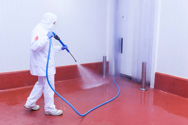 Best Soft Washing for Delicate Surfaces in Houston, TX